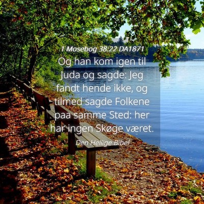 Picture 04 - 1 Mosebog 38:22 DA1871 - Og han kom igen til Juda og sagde: Jeg fandt - Bible Verse Picture