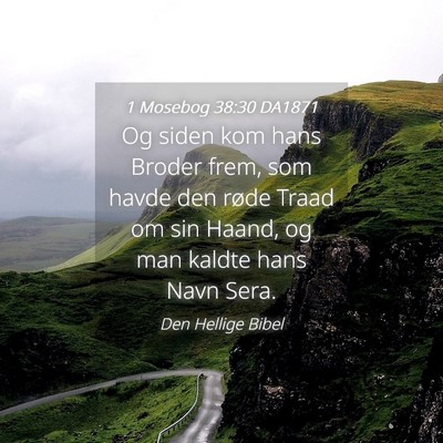 Picture 04 - 1 Mosebog 38:30 DA1871 - Og siden kom hans Broder frem, som havde den - Bible Verse Picture