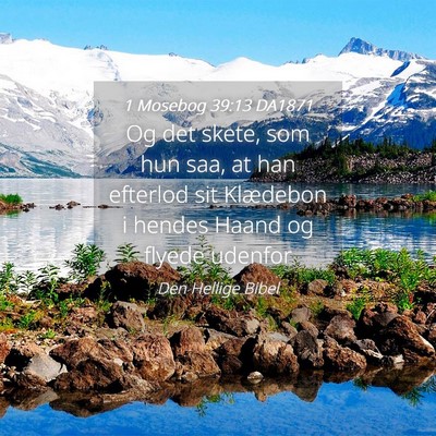Picture 04 - 1 Mosebog 39:13 DA1871 - Og det skete, som hun saa, at han efterlod sit - Bible Verse Picture