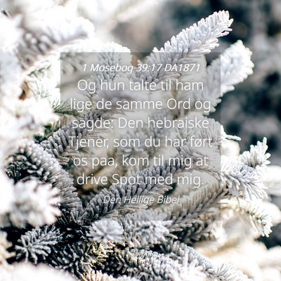 Picture 04 - 1 Mosebog 39:17 DA1871 - Og hun talte til ham lige de samme Ord og sagde: - Bible Verse Picture