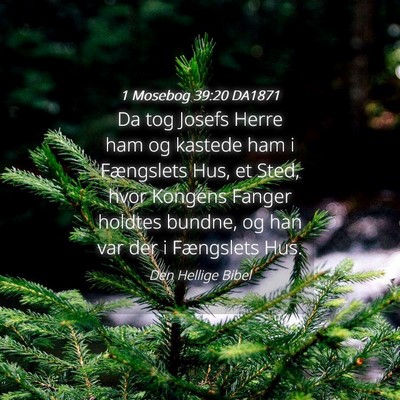 Picture 04 - 1 Mosebog 39:20 DA1871 - Da tog Josefs Herre ham og kastede ham i - Bible Verse Picture