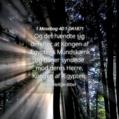 Picture 04 - 1 Mosebog 40:1 DA1871 - Og det hændte sig derefter, at Kongen af - Bible Verse Picture