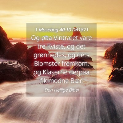 Picture 04 - 1 Mosebog 40:10 DA1871 - Og paa Vintræet vare tre Kviste, og det - Bible Verse Picture