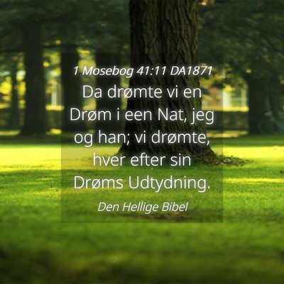 Picture 04 - 1 Mosebog 41:11 DA1871 - Da drømte vi en Drøm i een Nat, jeg og han; vi - Bible Verse Picture