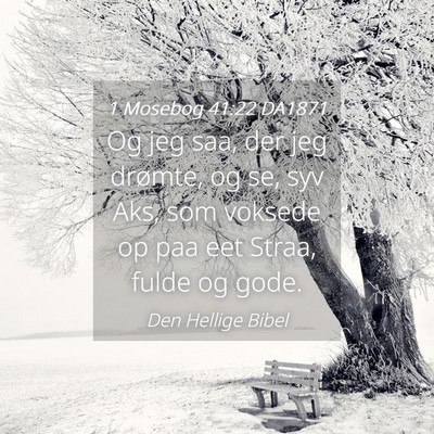 Picture 04 - 1 Mosebog 41:22 DA1871 - Og jeg saa, der jeg drømte, og se, syv Aks, som - Bible Verse Picture
