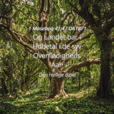 Picture 04 - 1 Mosebog 41:47 DA1871 - Og Landet bar i Hobetal i de syv Overflødigheds - Bible Verse Picture