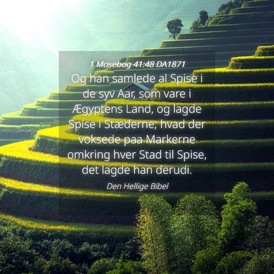 Picture 04 - 1 Mosebog 41:48 DA1871 - Og han samlede al Spise i de syv Aar, som vare i - Bible Verse Picture