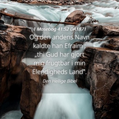 Picture 04 - 1 Mosebog 41:52 DA1871 - Og den andens Navn kaldte han Efraim ; „thi Gud - Bible Verse Picture