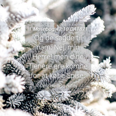 Picture 04 - 1 Mosebog 42:10 DA1871 - Og de sagde til ham: Nej, min Herre! men dine - Bible Verse Picture