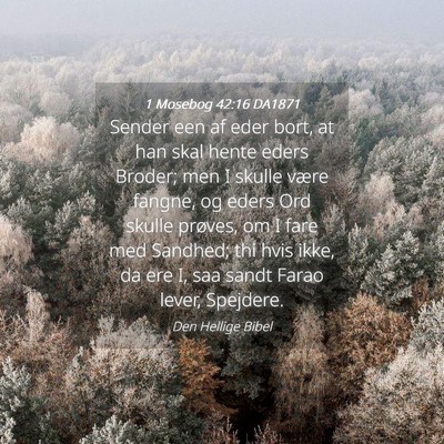Picture 04 - 1 Mosebog 42:16 DA1871 - Sender een af eder bort, at han skal hente eders - Bible Verse Picture