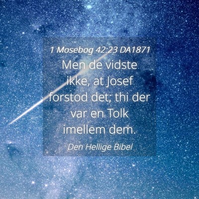 Picture 04 - 1 Mosebog 42:23 DA1871 - Men de vidste ikke, at Josef forstod det; thi der - Bible Verse Picture