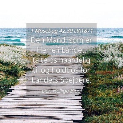 Picture 04 - 1 Mosebog 42:30 DA1871 - Den Mand, som er Herre i Landet, talte os - Bible Verse Picture