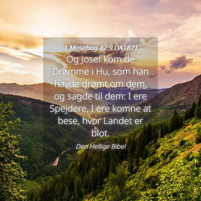 Picture 04 - 1 Mosebog 42:9 DA1871 - Og Josef kom de Drømme i Hu, som han havde - Bible Verse Picture