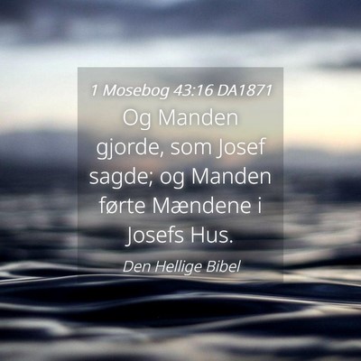 Picture 04 - 1 Mosebog 43:16 DA1871 - Og Manden gjorde, som Josef sagde; og Manden - Bible Verse Picture