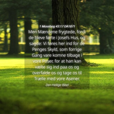 Picture 04 - 1 Mosebog 43:17 DA1871 - Men Mændene frygtede, fordi de bleve førte i - Bible Verse Picture