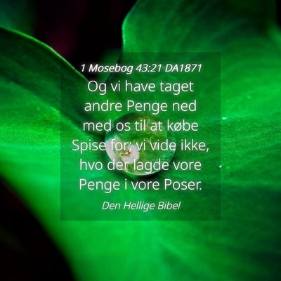 Picture 04 - 1 Mosebog 43:21 DA1871 - Og vi have taget andre Penge ned med os til at - Bible Verse Picture