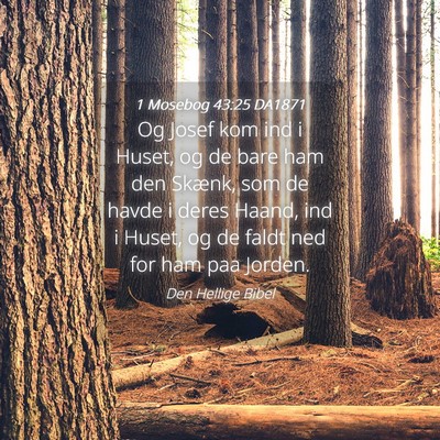 Picture 04 - 1 Mosebog 43:25 DA1871 - Og Josef kom ind i Huset, og de bare ham den - Bible Verse Picture