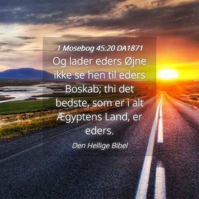 Picture 04 - 1 Mosebog 45:20 DA1871 - Og lader eders Øjne ikke se hen til eders - Bible Verse Picture