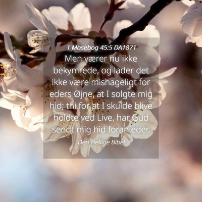Picture 04 - 1 Mosebog 45:5 DA1871 - Men værer nu ikke bekymrede, og lader det ikke - Bible Verse Picture