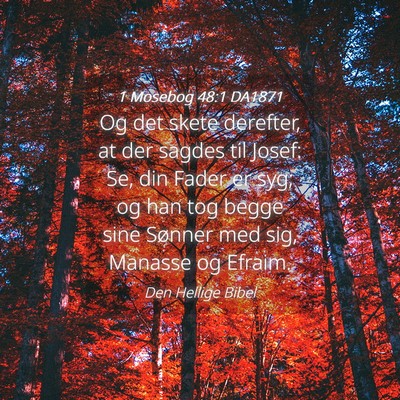 Picture 04 - 1 Mosebog 48:1 DA1871 - Og det skete derefter, at der sagdes til Josef: - Bible Verse Picture