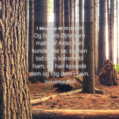 Picture 04 - 1 Mosebog 48:10 DA1871 - Og Israels Øjne vare matte af Alder, han kunde - Bible Verse Picture