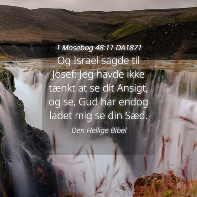 Picture 04 - 1 Mosebog 48:11 DA1871 - Og Israel sagde til Josef: Jeg havde ikke tænkt - Bible Verse Picture