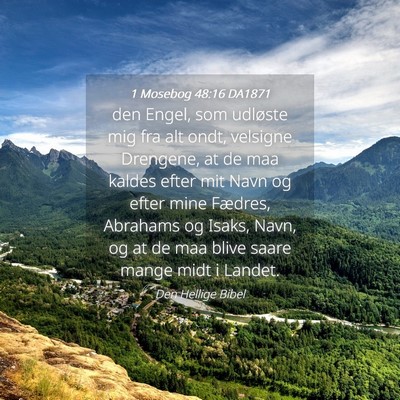 Picture 04 - 1 Mosebog 48:16 DA1871 - den Engel, som udløste mig fra alt ondt, - Bible Verse Picture