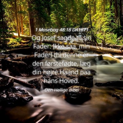 Picture 04 - 1 Mosebog 48:18 DA1871 - Og Josef sagde til sin Fader: Ikke saa, min - Bible Verse Picture