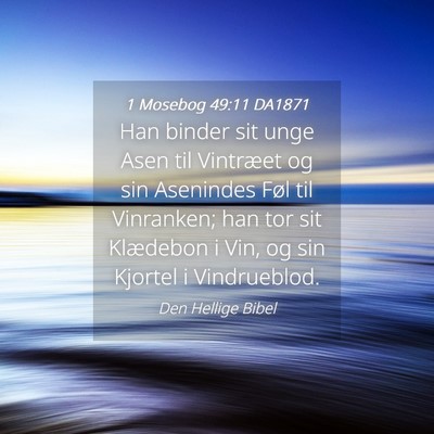 Picture 04 - 1 Mosebog 49:11 DA1871 - Han binder sit unge Asen til Vintræet og sin - Bible Verse Picture