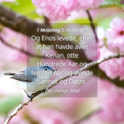 Picture 04 - 1 Mosebog 5:10 DA1871 - Og Enos levede, efter at han havde avlet Kenan, - Bible Verse Picture