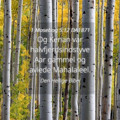 Picture 04 - 1 Mosebog 5:12 DA1871 - Og Kenan var halvfjerdsindstyve Aar gammel og - Bible Verse Picture