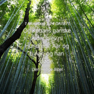 Picture 04 - 1 Mosebog 5:14 DA1871 - Og Kenans ganske Alder blev ni Hundrede Aar og ti - Bible Verse Picture