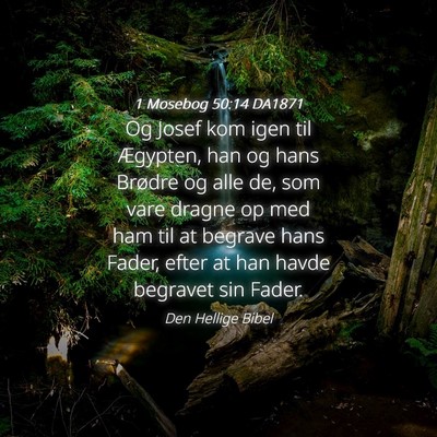 Picture 04 - 1 Mosebog 50:14 DA1871 - Og Josef kom igen til Ægypten, han og hans - Bible Verse Picture
