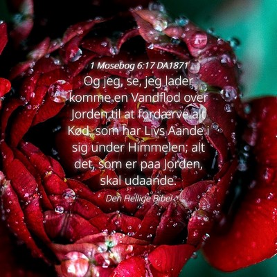 Picture 04 - 1 Mosebog 6:17 DA1871 - Og jeg, se, jeg lader komme en Vandflod over - Bible Verse Picture