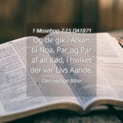 Picture 04 - 1 Mosebog 7:15 DA1871 - Og de gik i Arken til Noa, Par og Par af alt - Bible Verse Picture