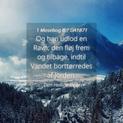 Picture 04 - 1 Mosebog 8:7 DA1871 - Og han udlod en Ravn; den fløj frem og tilbage, - Bible Verse Picture