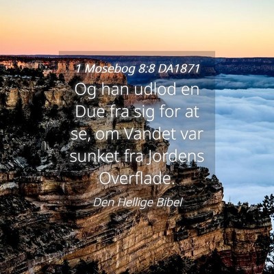 Picture 04 - 1 Mosebog 8:8 DA1871 - Og han udlod en Due fra sig for at se, om Vandet - Bible Verse Picture