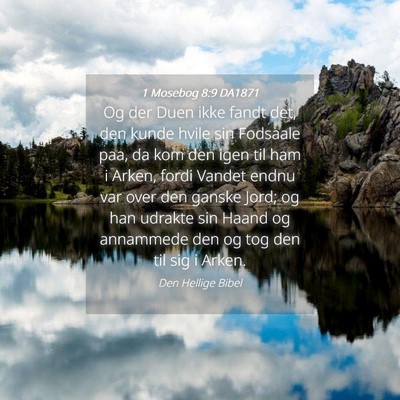 Picture 04 - 1 Mosebog 8:9 DA1871 - Og der Duen ikke fandt det, den kunde hvile sin - Bible Verse Picture
