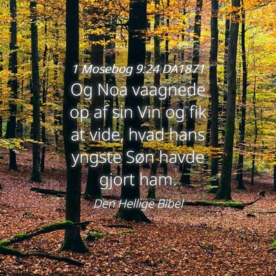 Picture 04 - 1 Mosebog 9:24 DA1871 - Og Noa vaagnede op af sin Vin og fik at vide, - Bible Verse Picture