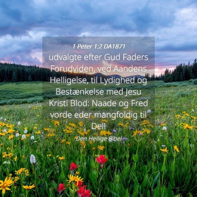 Picture 04 - 1 Peter 1:2 DA1871 - udvalgte efter Gud Faders Forudviden, ved Aandens - Bible Verse Picture