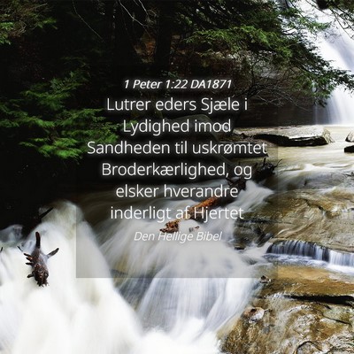 Picture 04 - 1 Peter 1:22 DA1871 - Lutrer eders Sjæle i Lydighed imod Sandheden til - Bible Verse Picture