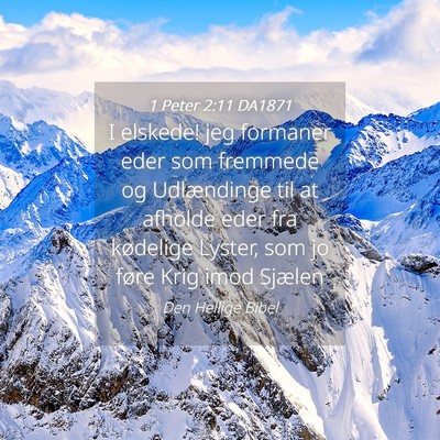 Picture 04 - 1 Peter 2:11 DA1871 - I elskede! jeg formaner eder som fremmede og - Bible Verse Picture