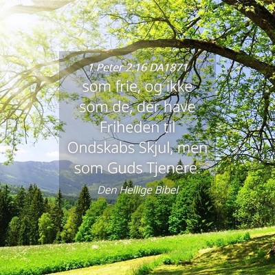 Picture 04 - 1 Peter 2:16 DA1871 - som frie, og ikke som de, der have Friheden til - Bible Verse Picture