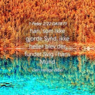 Picture 04 - 1 Peter 2:22 DA1871 - han, som ikke gjorde Synd, ikke heller blev der - Bible Verse Picture