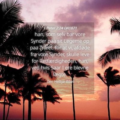 Picture 04 - 1 Peter 2:24 DA1871 - han, som selv bar vore Synder paa sit Legeme op - Bible Verse Picture