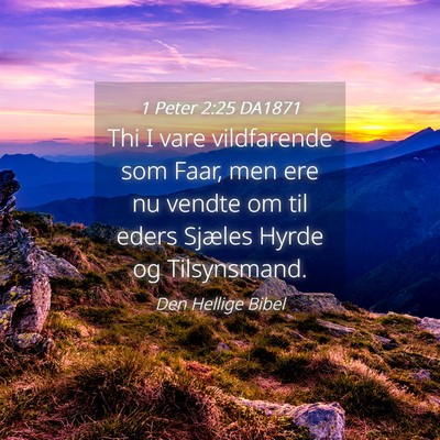 Picture 04 - 1 Peter 2:25 DA1871 - Thi I vare vildfarende som Faar, men ere nu - Bible Verse Picture