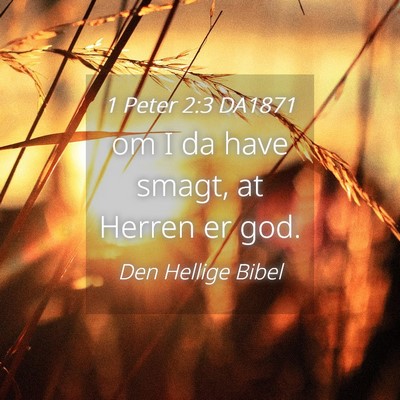 Picture 04 - 1 Peter 2:3 DA1871 - om I da have smagt, at Herren er - Bible Verse Picture