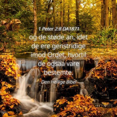 Picture 04 - 1 Peter 2:8 DA1871 - og de støde an, idet de ere genstridige imod - Bible Verse Picture