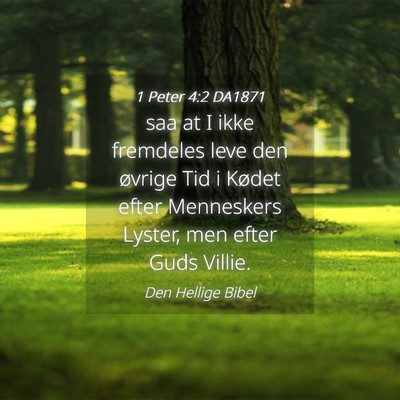 Picture 04 - 1 Peter 4:2 DA1871 - saa at I ikke fremdeles leve den øvrige Tid i - Bible Verse Picture