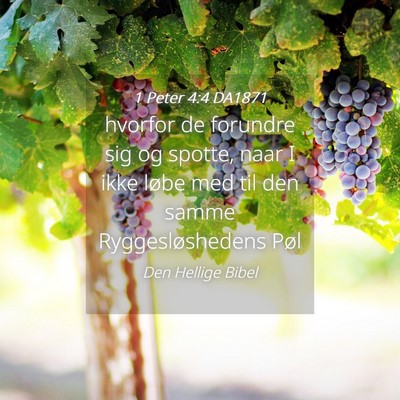 Picture 04 - 1 Peter 4:4 DA1871 - hvorfor de forundre sig og spotte, naar I ikke - Bible Verse Picture